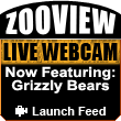 ZooView Live Webcam - Grizzly Bears