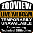 ZooView Live Webcam - TEMPORARILY UNAVAILABLE