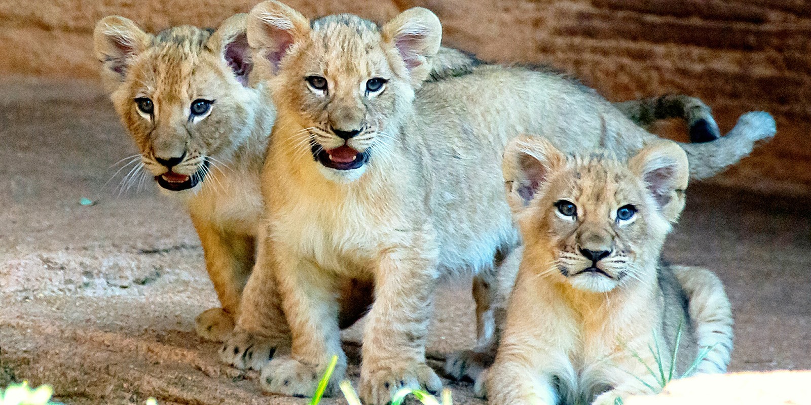 Columbia Zoo South Carolina