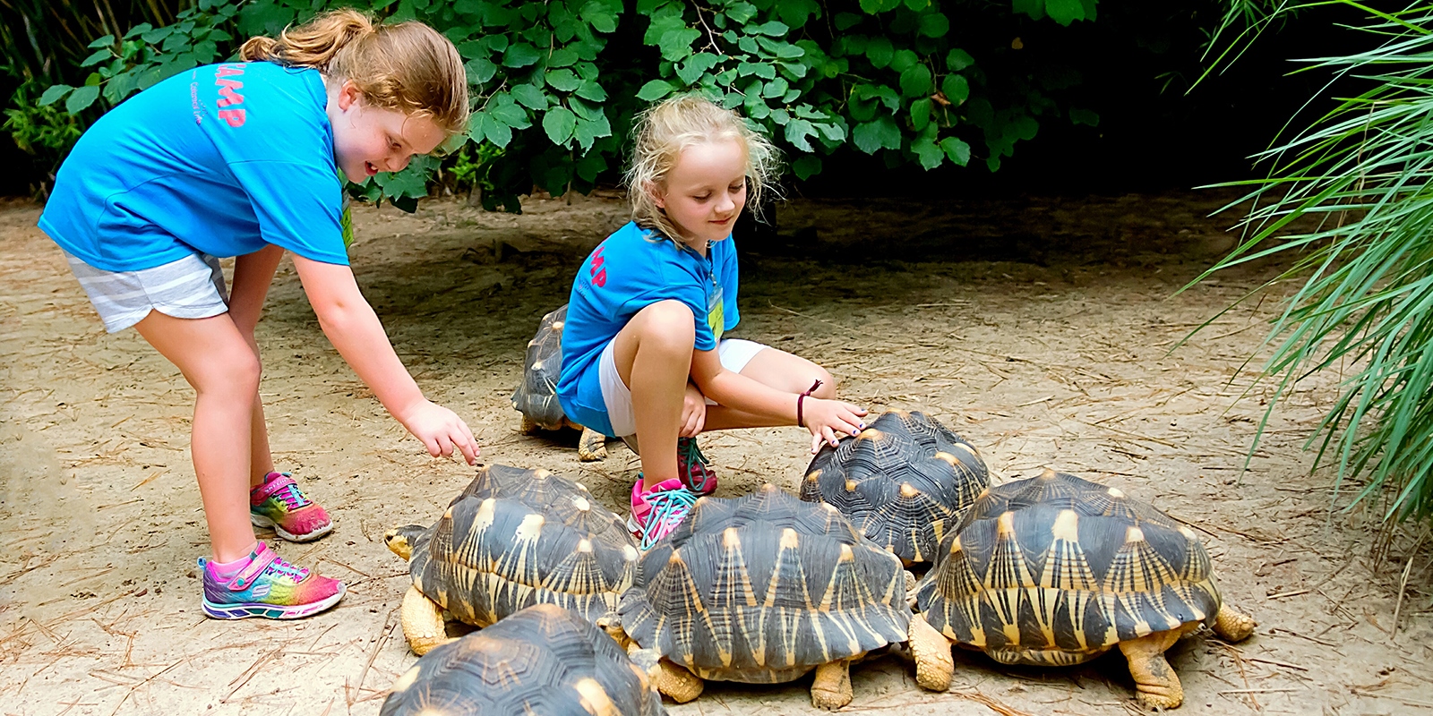 Riverbanks Zoo Garden Columbia South Carolina